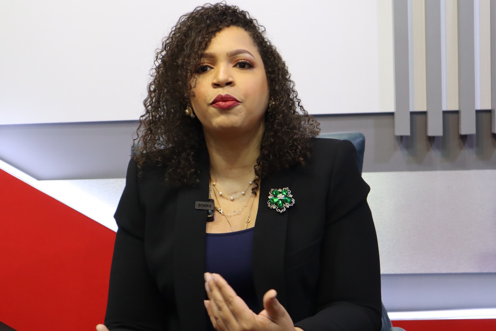 Diputada califica de desastrosa la gestión de Manuel Jiménez en SDE