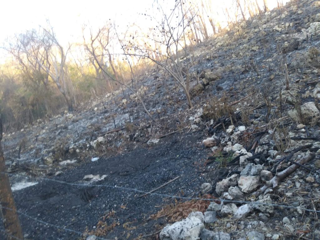 Medio Ambiente mantiene controlado incendio forestal en Barahona Medio Ambiente mantiene controlado incendio forestal en Barahona