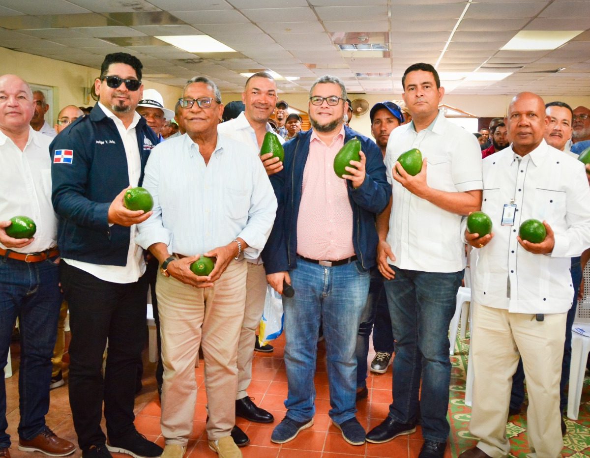 Gobierno aportará RD millones para empacadora de aguacates y en otros proyectos en Ocoa
