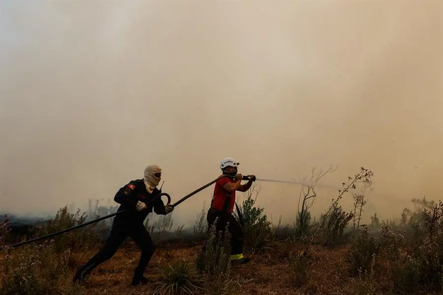 Se desata un incendio forestal en región más occidental de Cuba Se desata un incendio forestal en región más occidental de Cuba