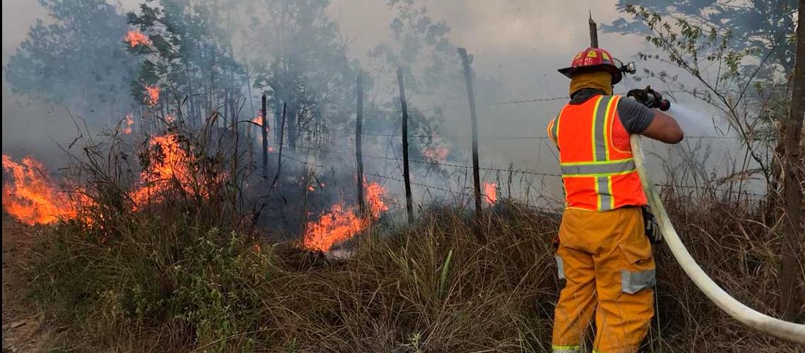 FAO llama a priorizar la prevención de incendios forestales en Latinoamérica