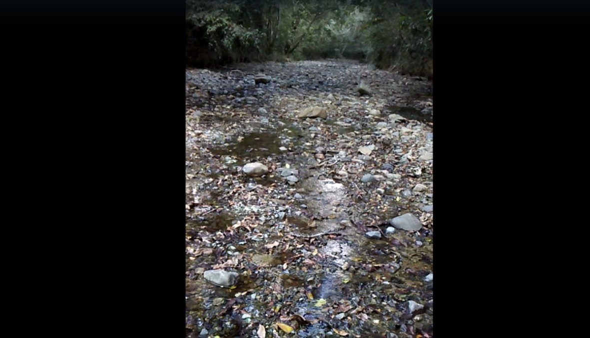 (VIDEO) Denuncian río Masacre se seca luego de la depredación de la “Loma Pico del Gallo”