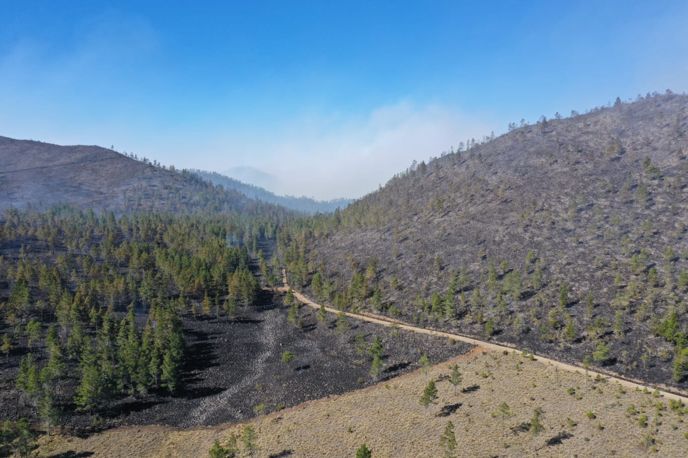 Aseguran incendio en Valle Nuevo fue  provocado; 27 detenidos por siniestros