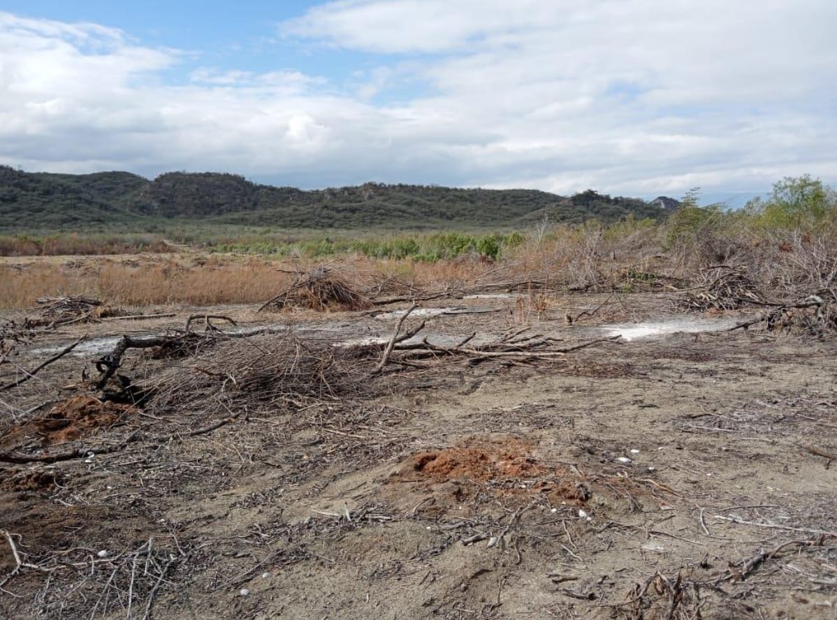 Paíno Abreu dice por descuido del Gobierno la Laguna de Cabral está en serio peligro de desaparecer Paíno Abreu dice por descuido del Gobierno la Laguna de Cabral está en serio peligro de desaparecer
