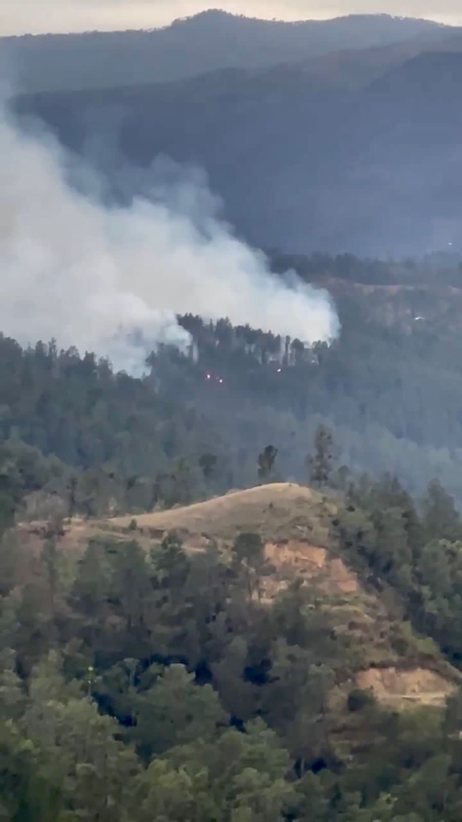 Incendio que afecta reserva forestal Alto Bao lo atribuyen a hechos vandálicos