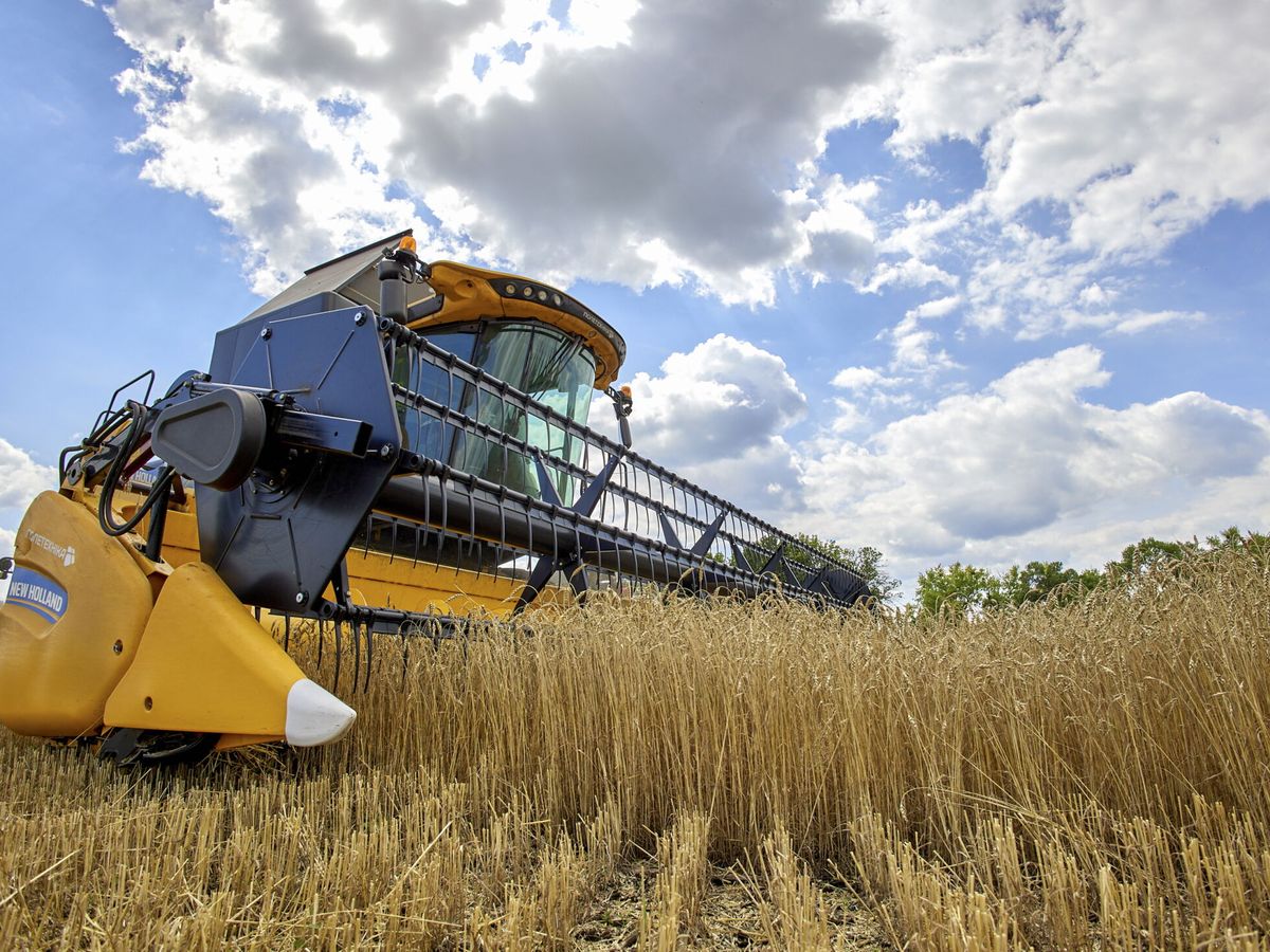 Eurodiputados piden prolongar más de 60 días el pacto para exportar cereal