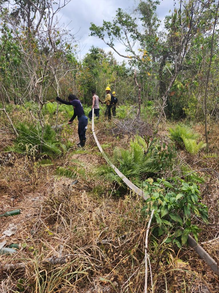 Medio Ambiente reitera llamado a la población a hacer correcto uso del fuego Medio Ambiente reitera llamado a la población a hacer correcto uso del fuego