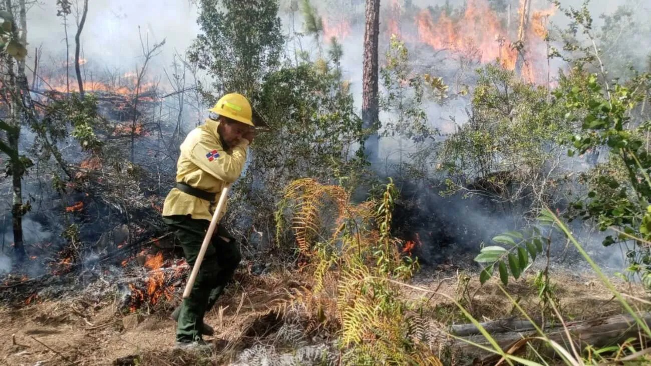 Bomberos forestales sofocan otros once incendios en distintos puntos del país Bomberos forestales sofocan otros once incendios en distintos puntos del país
