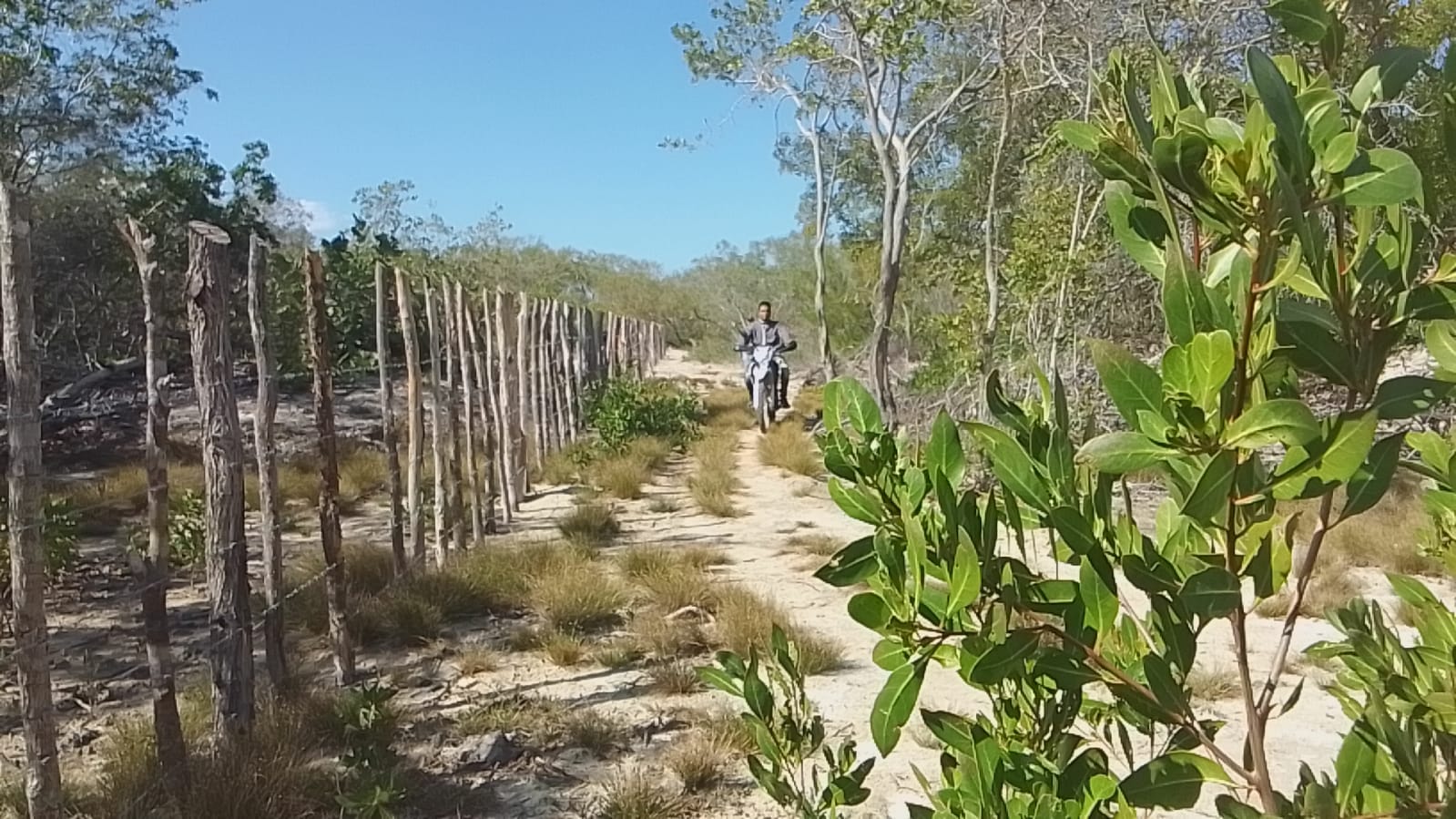 Asociación de terrenos turísticos dice ambientalistas mienten sobre daño en Bocanye, Pedernales