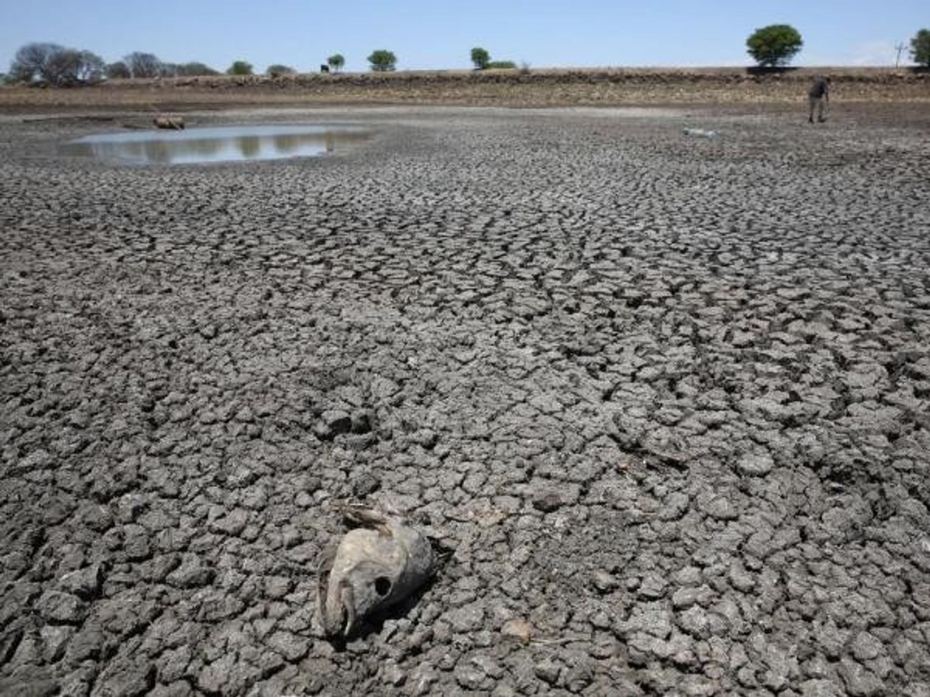 Meteorólogos alertan por severos eventos de El Niño en Perú y Ecuador Meteorólogos alertan por severos eventos de El Niño en Perú y Ecuador
