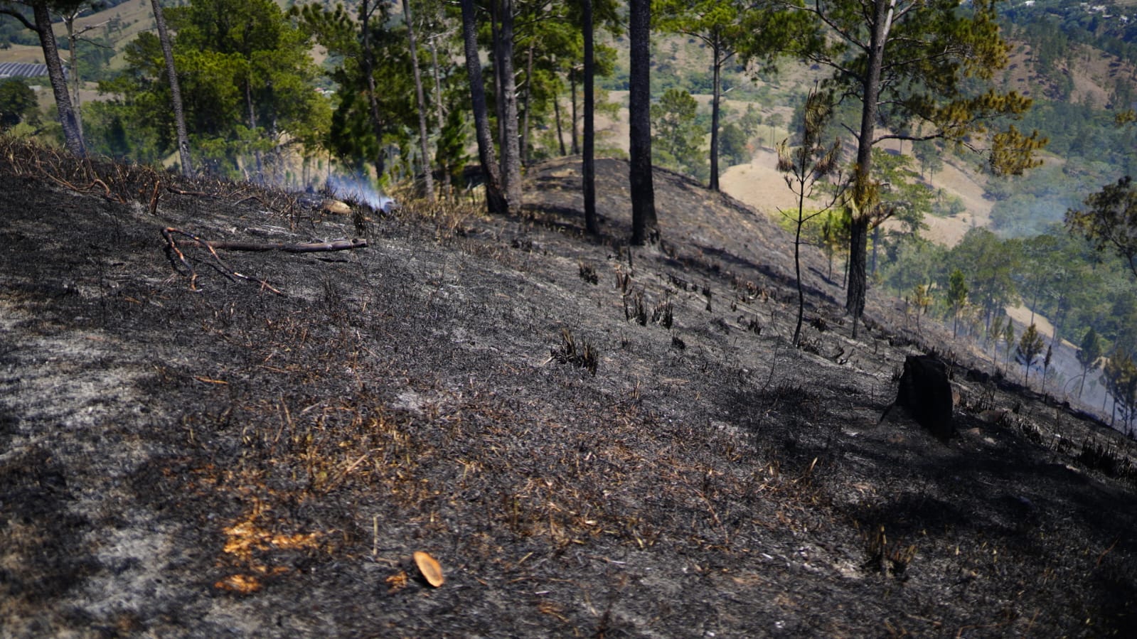 Genao califica de «terrorismo ambiental» incendio de bosques y vertederos Genao califica de «terrorismo ambiental» incendio de bosques y vertederos