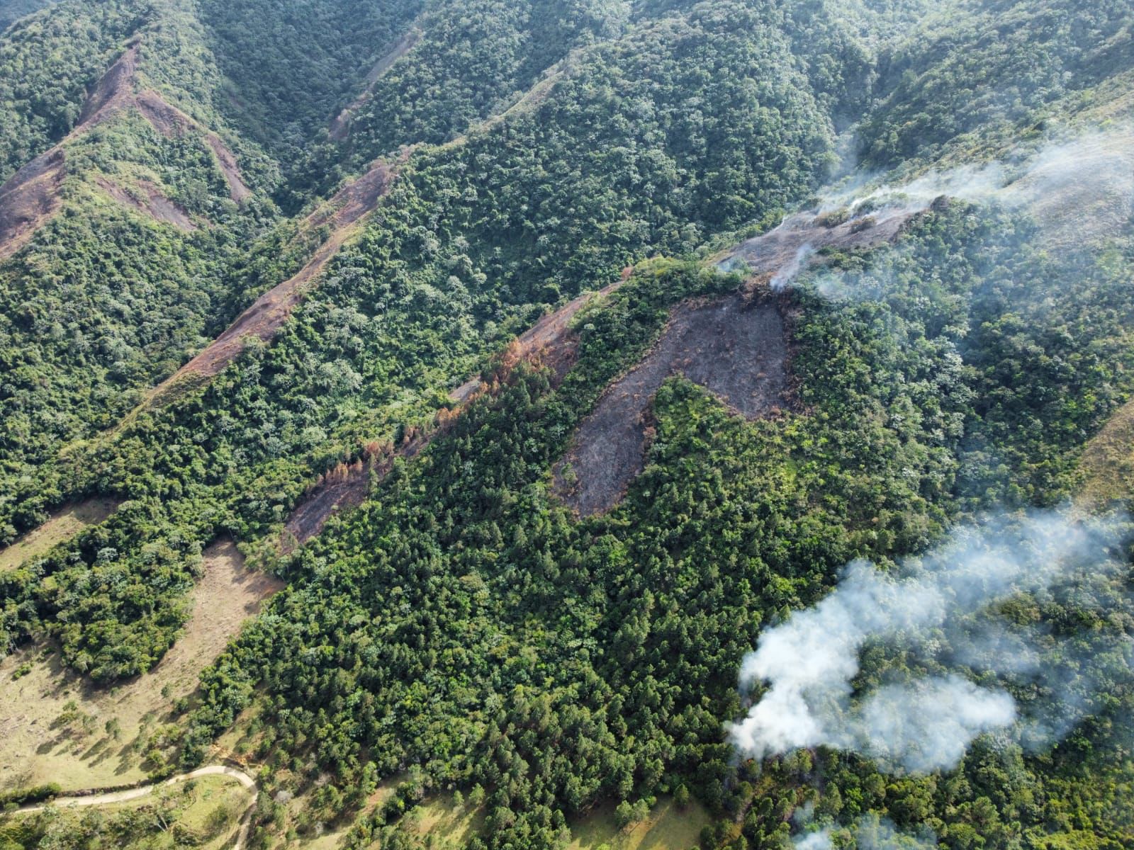 Medio Ambiente afirma tener bajo control la mayoría de incendios forestales