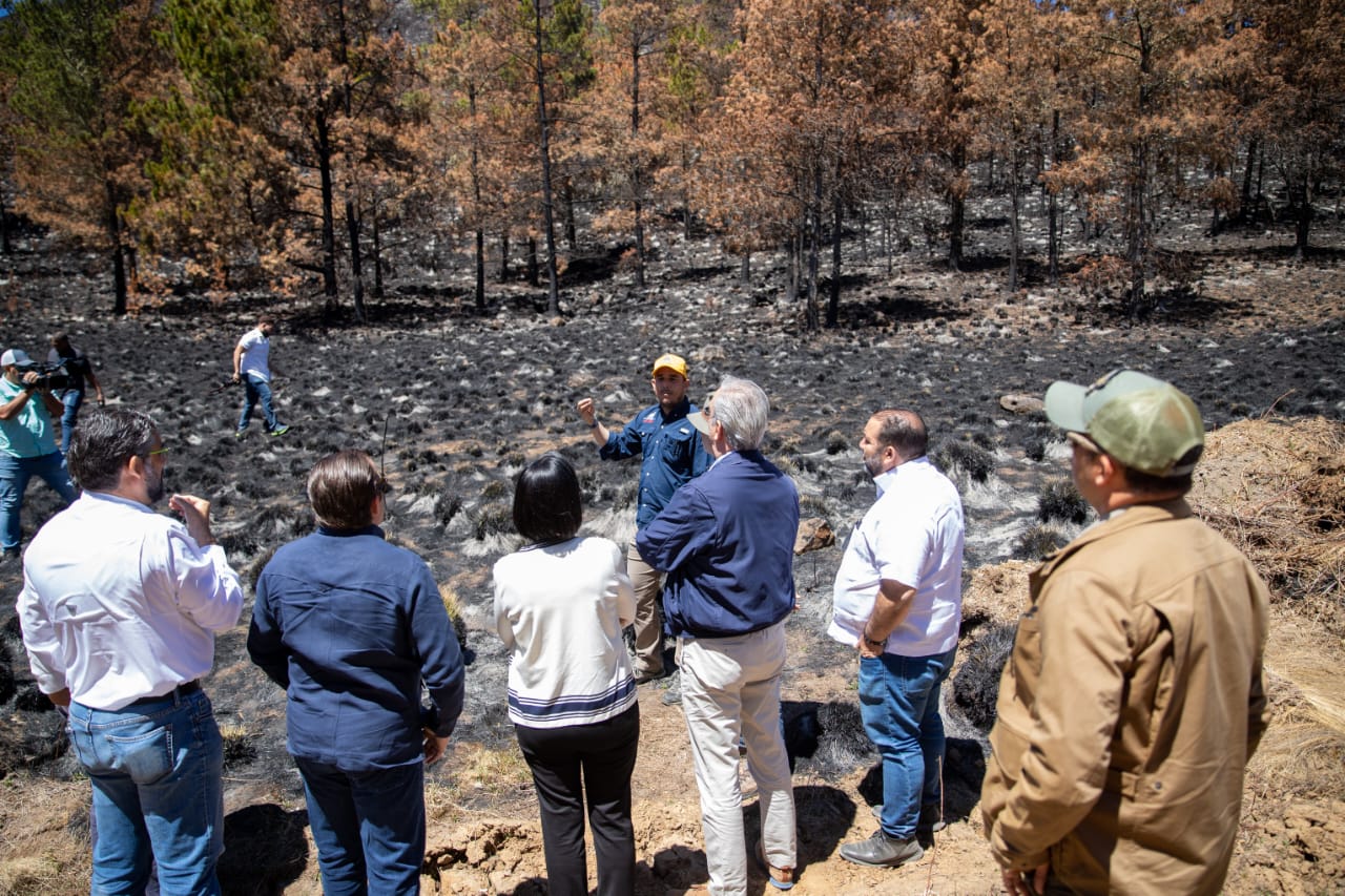 Abinader y su esposa junto a funcionarios al visitar zonas afectadas por incendios (Foto: Fuente externa)