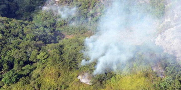 PLD: Nos estamos quedando sin bosques PLD: Nos estamos quedando sin bosques