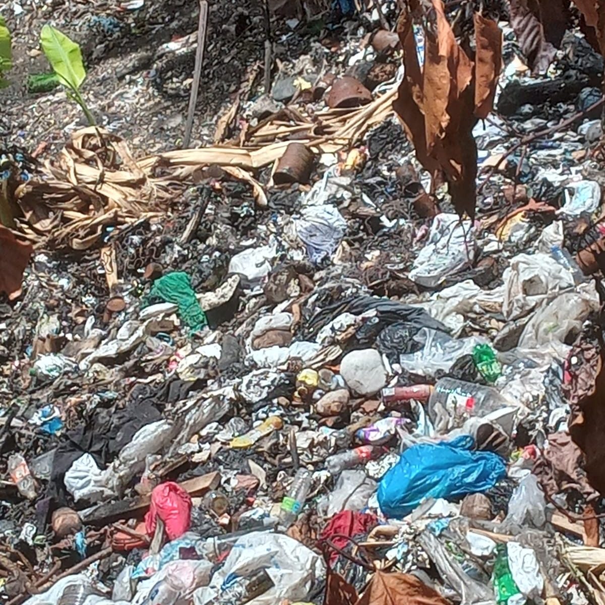 Director distrital de La Caleta garantiza solucionar problemas causados por reciclador de basura