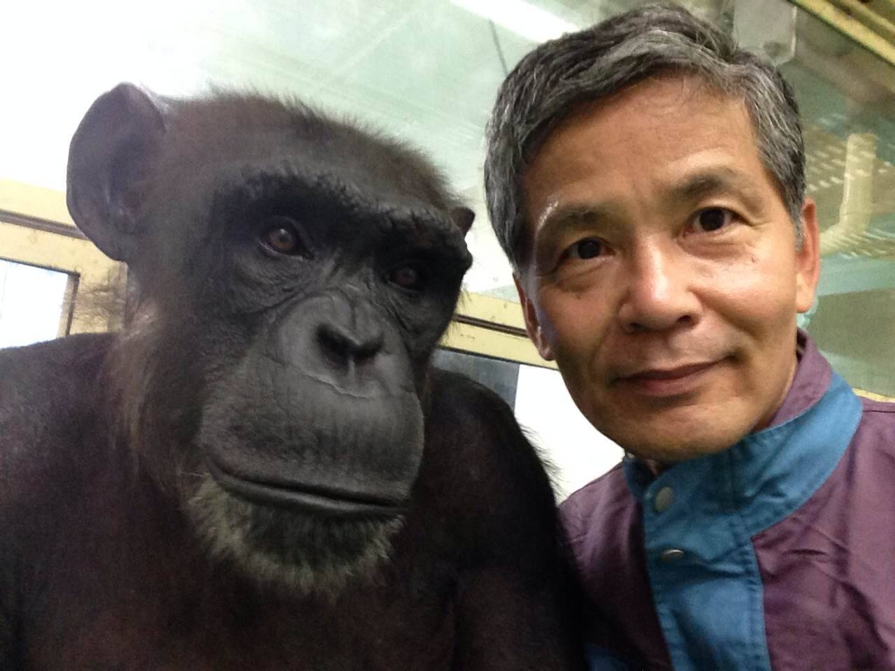 El ser humano debe entender que un chimpancé debe vivir con los suyos El ser humano debe entender que un chimpancé debe vivir con los suyos