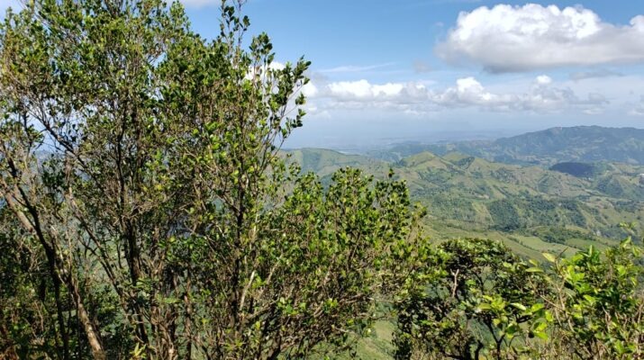 Medio Ambiente dice tomará acciones para proteger bosques de Santiago Rodríguez y Santiago