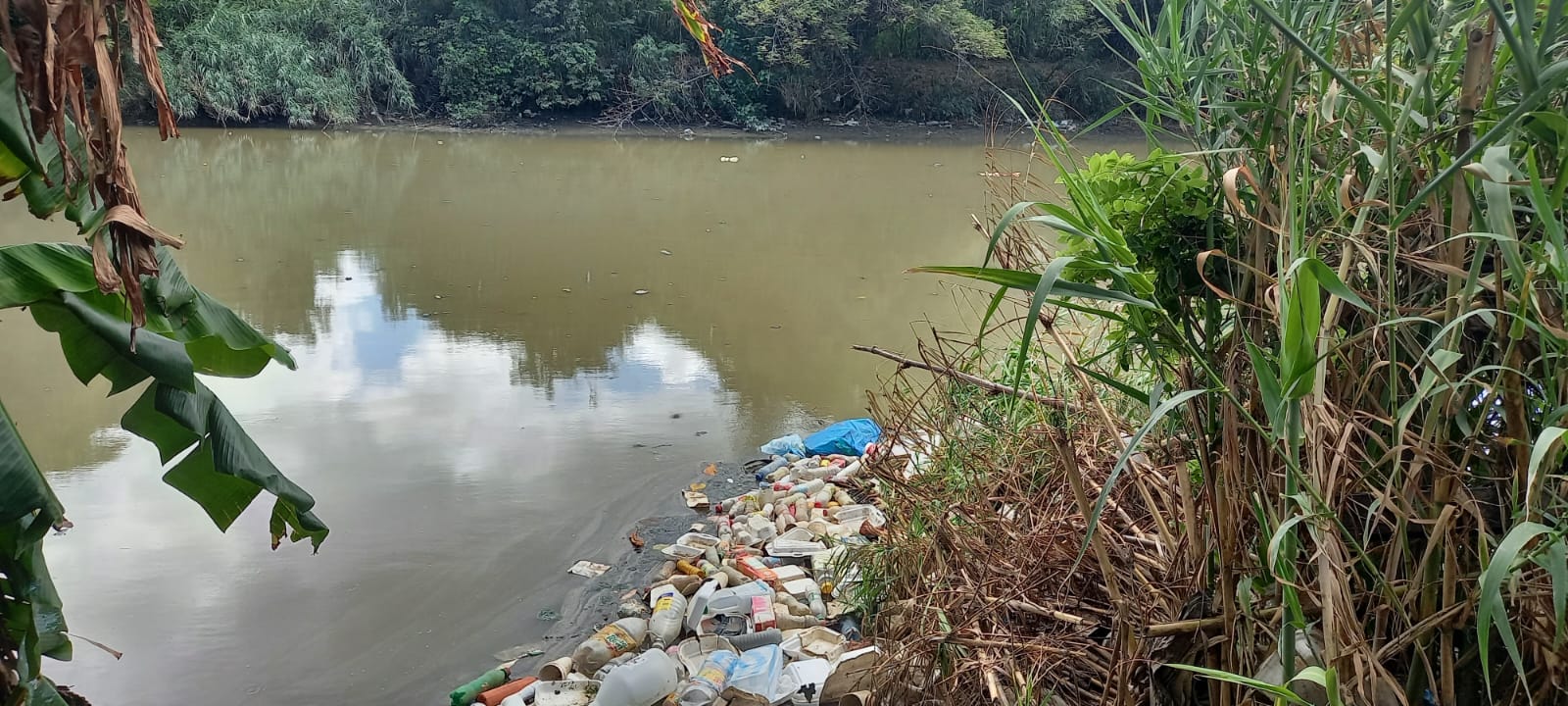 Deploran alto nivel de contaminación que presenta río San Marcos en Puerto Plata