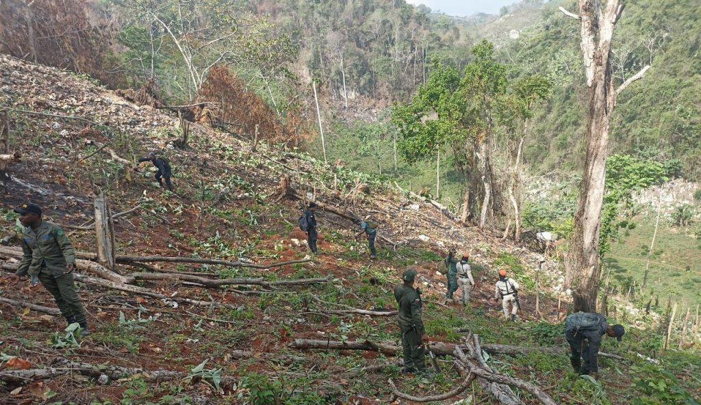 Periodista recomienda a Medio Ambiente reforzar vigilancia de áreas protegidas del país en tiempo real Periodista recomienda a Medio Ambiente reforzar vigilancia de áreas protegidas del país en tiempo real