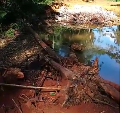 (VIDEO) Denuncian deforestación de zona boscosa en municipio El Valle (VIDEO) Denuncian deforestación de zona boscosa en municipio El Valle
