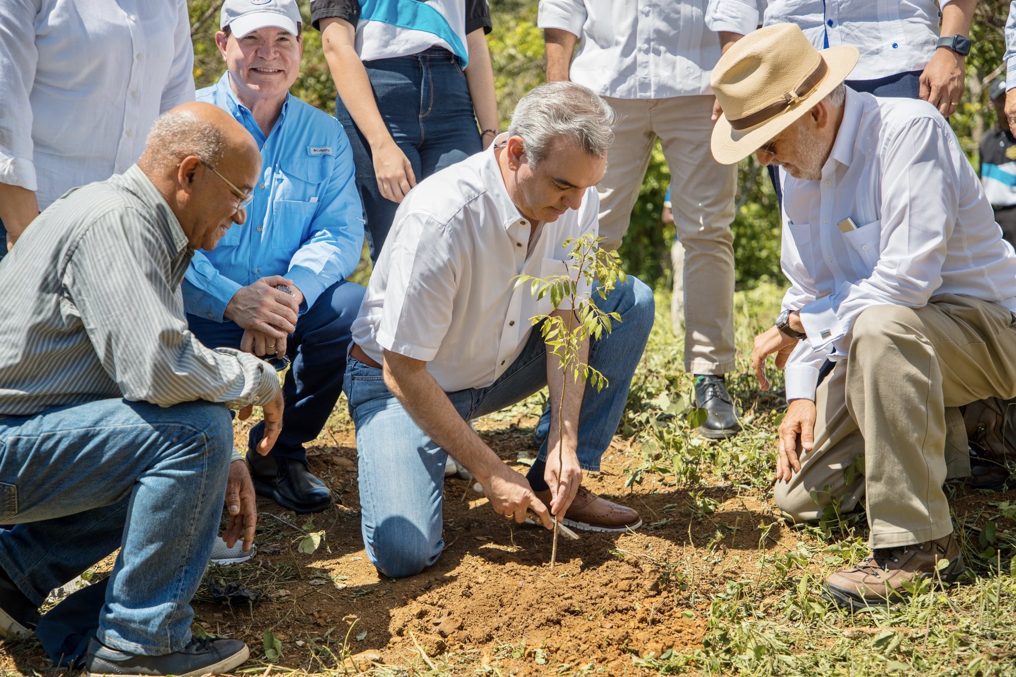 Medio Ambiente inicia reforestación de 320 mil tareas por RD,180 MM; Abinader pide al pueblo unirse