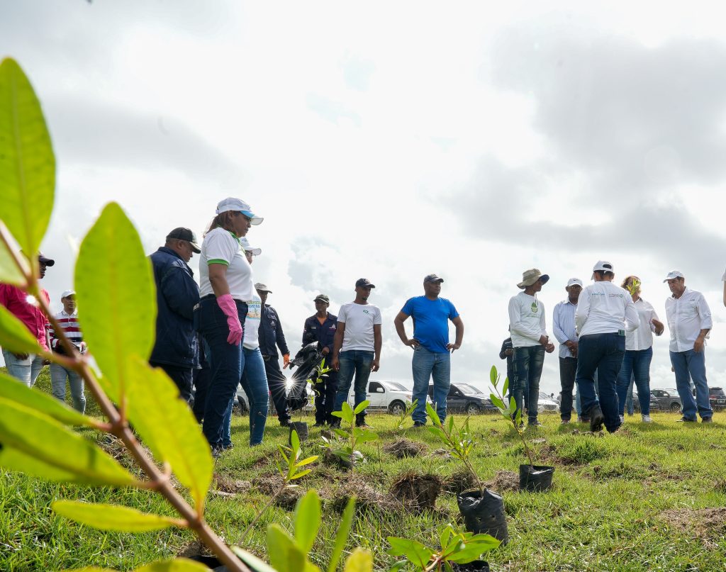 Celebran Día de los Océanos con reforestación de manglar y limpieza en zona arrecifal de San Cristóbal 