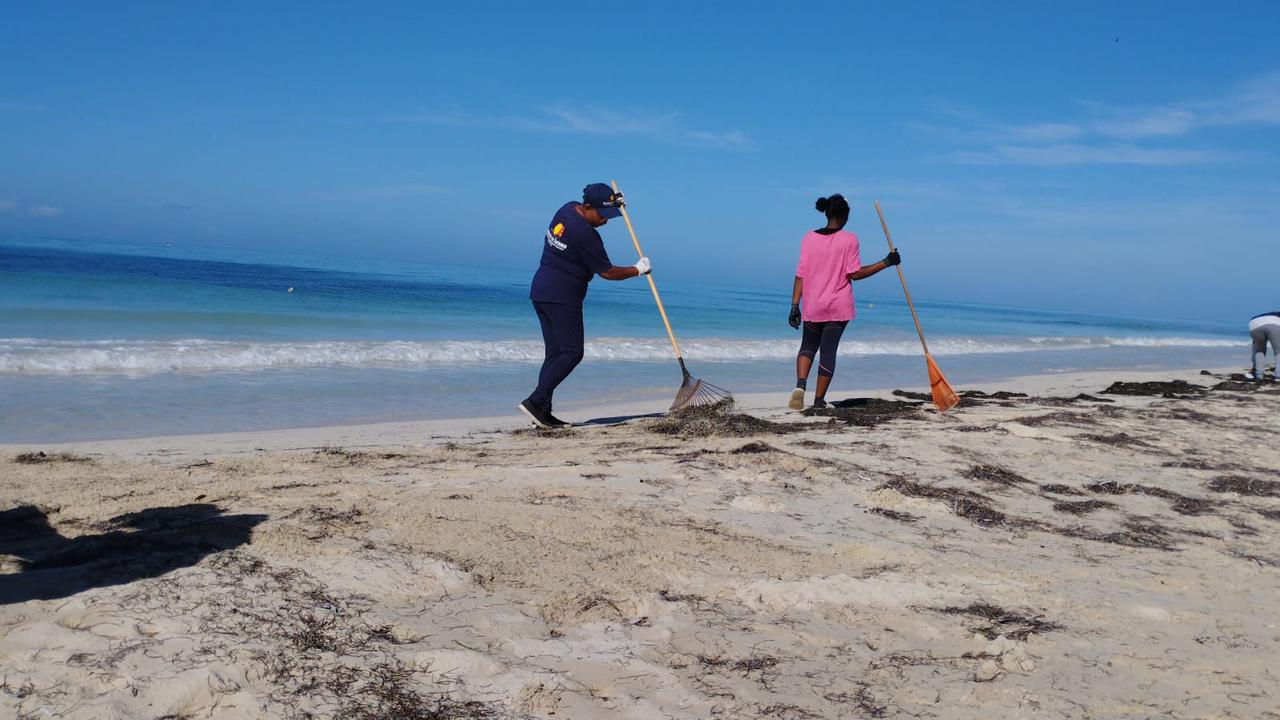 ONGs realizan jornada de limpieza en playa de Pedernales