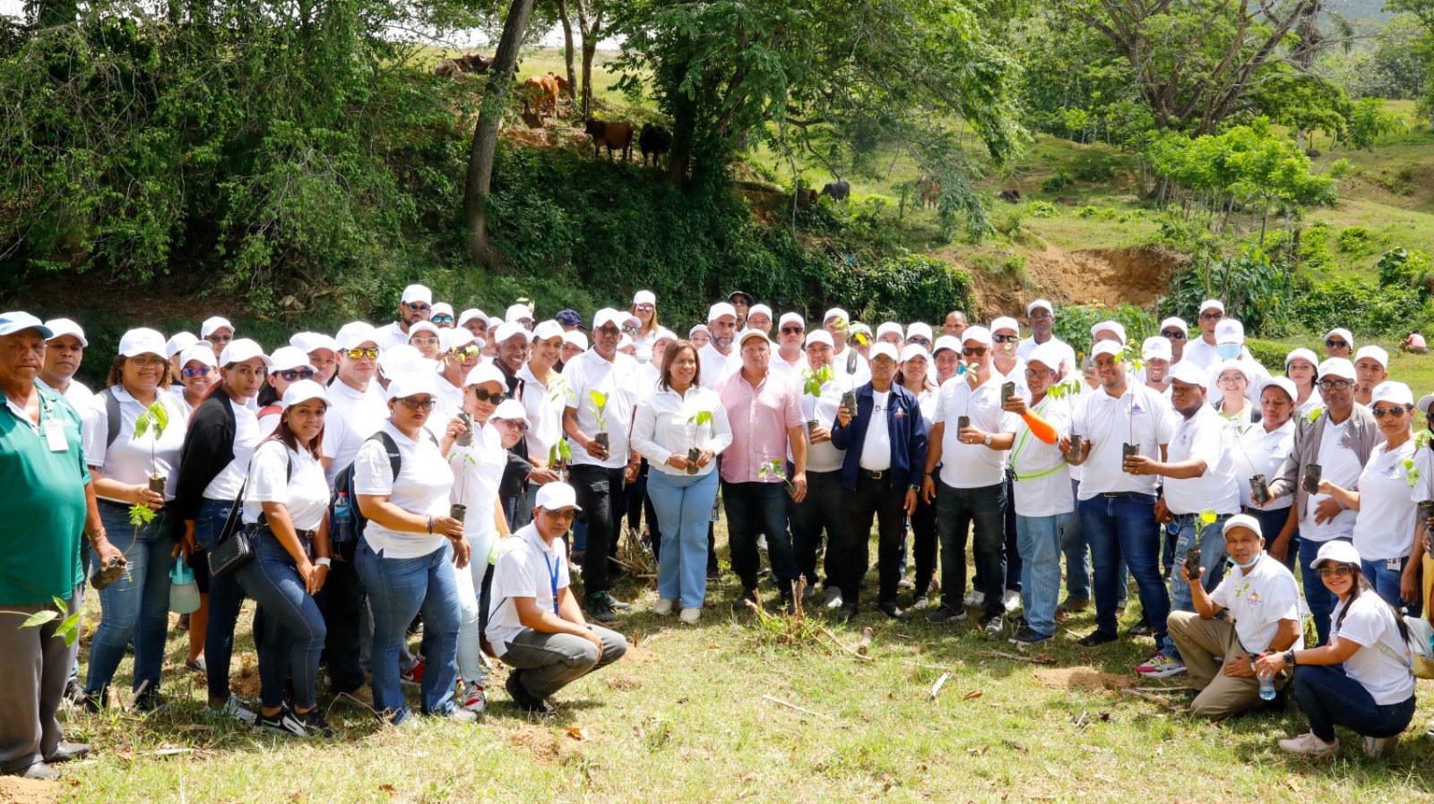 Empleados de Contraloría siembran más de 2,500 plantas; se suman al Plan Nacional de Reforestación