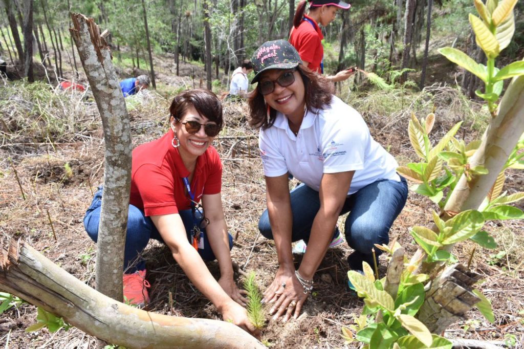 Ministerio de Trabajo participa en Plan Nacional de Reforestación Ministerio de Trabajo participa en Plan Nacional de Reforestación