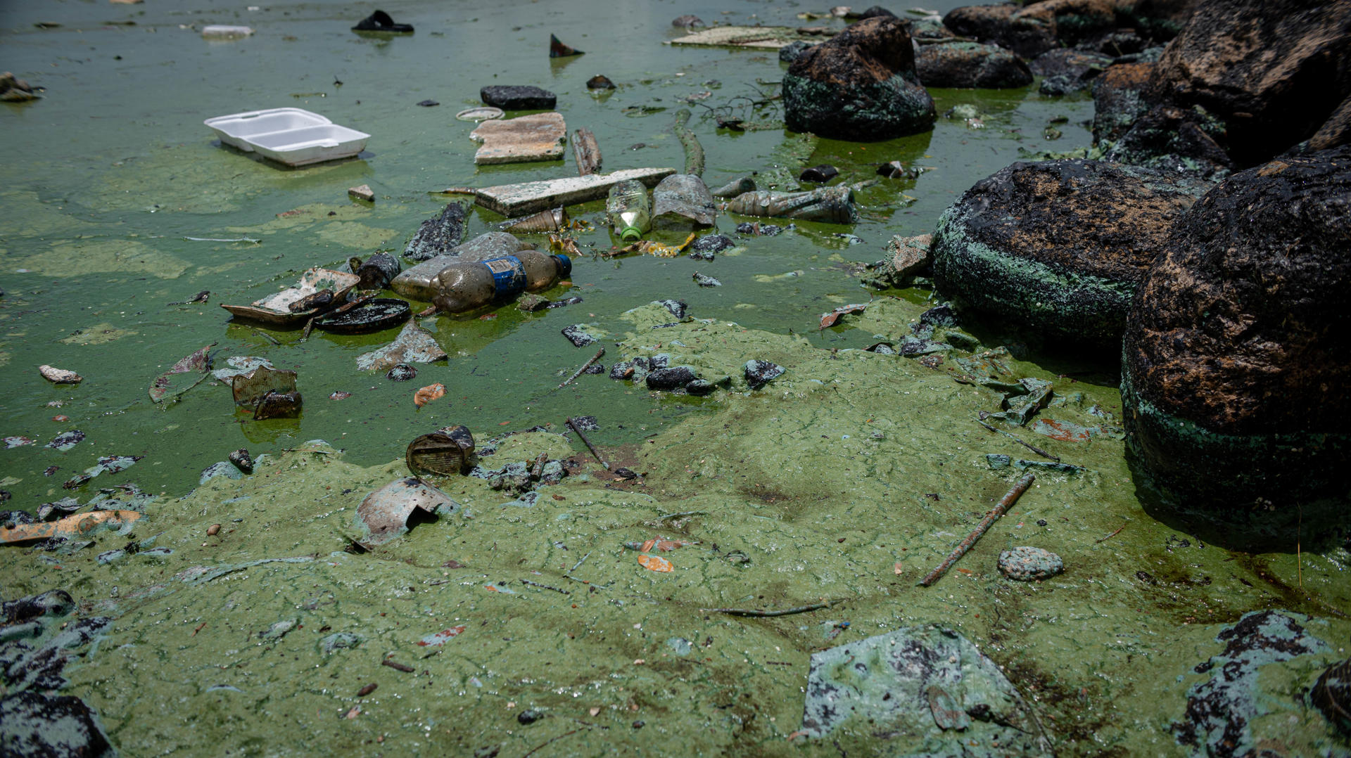 Venezuela limpiará unas 600 playas afectadas por la contaminación en su principal lago