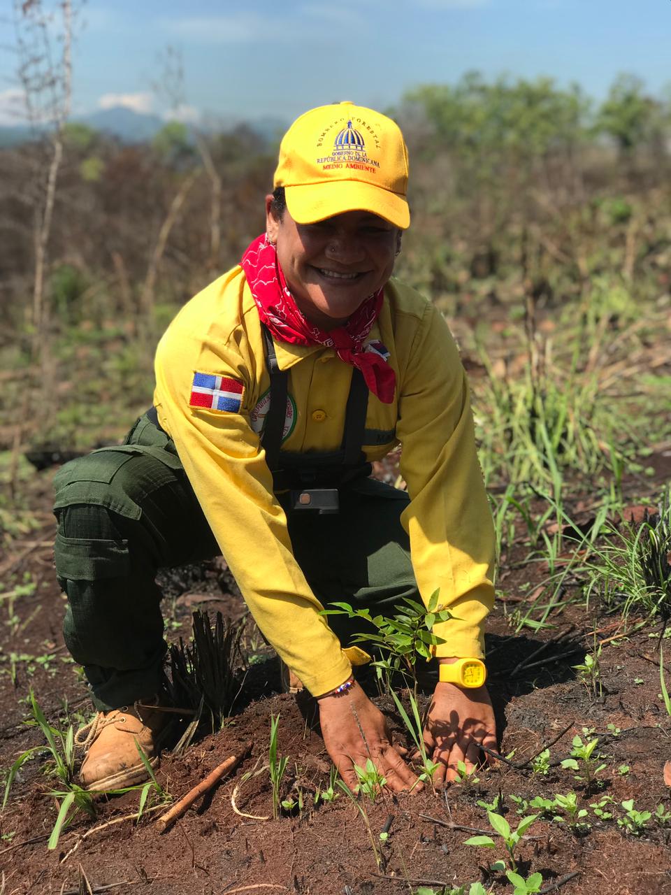 Bomberos forestales plantan 3,000 árboles en Loma Guaigüí afectada por incendio Bomberos forestales plantan 3,000 árboles en Loma Guaigüí afectada por incendio