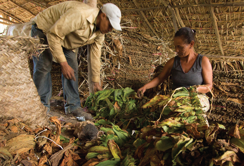 MocaPresente.net | LUIS RAMON LOPEZ