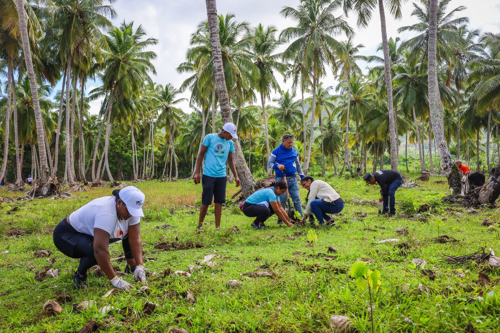 IDAC encabeza jornada de limpieza y reforestación en Playa Jackson, Samaná IDAC encabeza jornada de limpieza y reforestación en Playa Jackson, Samaná