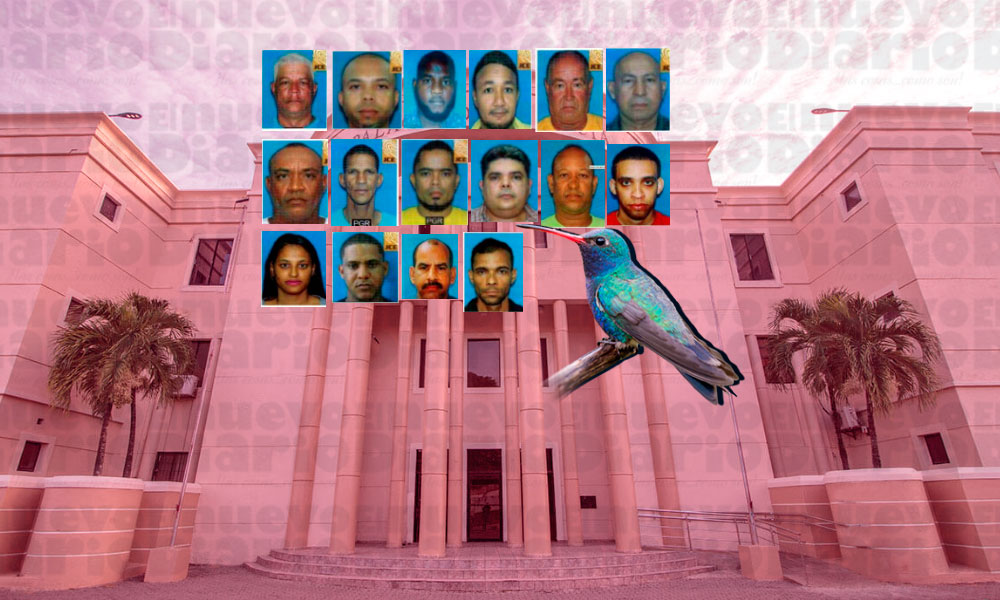 Dictan prisión preventiva contra cabecillas de red desarticulada por Operación Colibrí