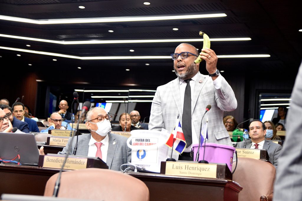 Vocero del bloque de diputados del Partido de la Liberación Dominicana, Luis Henríquez
