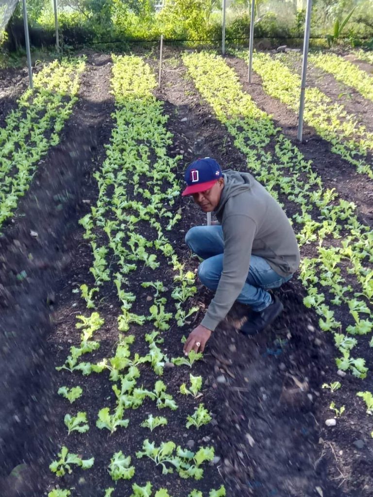 Informan Que Agricultura Reforz Y Aument Plan De Huertos Familiares Y Escolares Tendencias