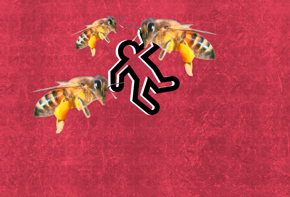 Muere un hombre luego de ser atacado por abejas