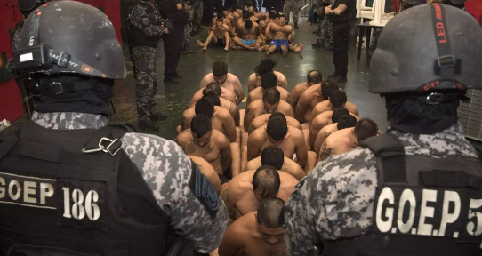 Narco bojo custoadia