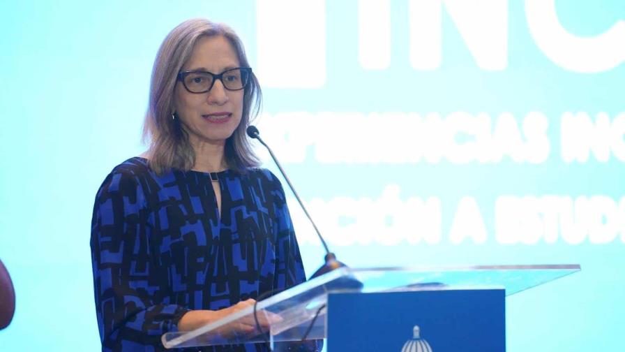 Ancell Scheker, Viceministra del Minerd