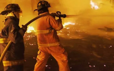 Alrededor de 161.184 hectáreas de bosques han resultado afectadas por incendios en Honduras