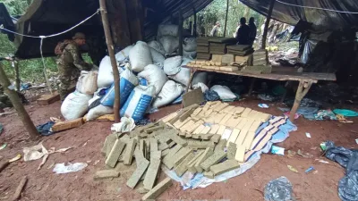 Marihuana incautadas en el Parque Nacional Caazapá