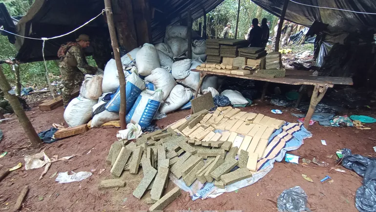Marihuana incautadas en el Parque Nacional Caazapá