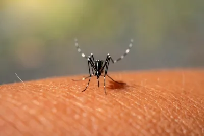 Brasil supera las 3.000 muertes por dengue este año