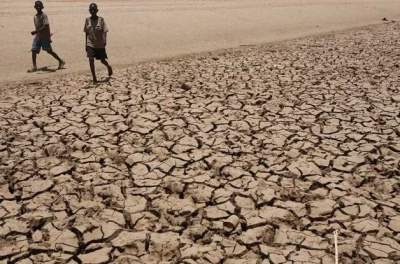 Sequía por fenómeno el Niño afecta a africanos.