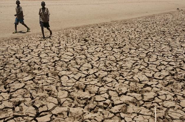 Sequía por fenómeno el Niño afecta a africanos.