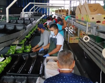 Empleados de la multinacional del banano Chiquita Brands