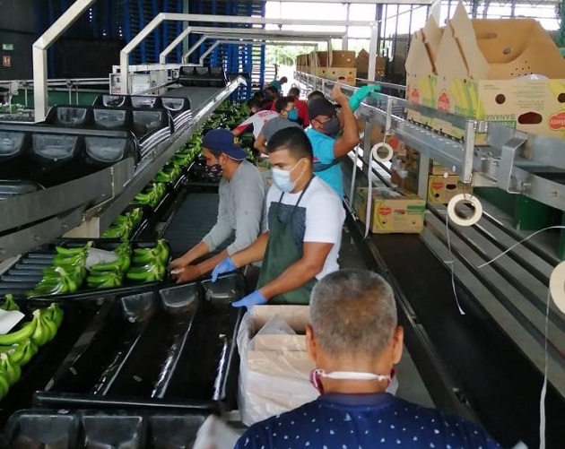 Empleados de la multinacional del banano Chiquita Brands