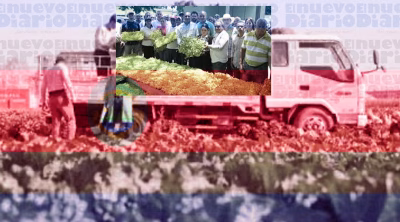 La participación de las Américas en las exportaciones globales agroalimentarias fue del 30% entre 2021 y 2023