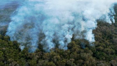 El humo de decenas de incendios en la Amazonía llega hasta el sur de Brasil