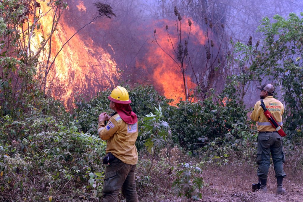 Bomberos trabajan apagando un incendio este viernes en la comunidad de Palestina (Bolivia).